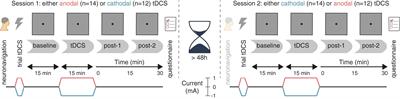 No Evidence That Frontal Eye Field tDCS Affects Latency or Accuracy of Prosaccades